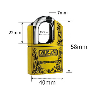 Heavy Duty Unique Custom Size Vintage padlock Waterproof 40mm/50mm/60mm70mm protected Multi-Use zinc alloy padlock