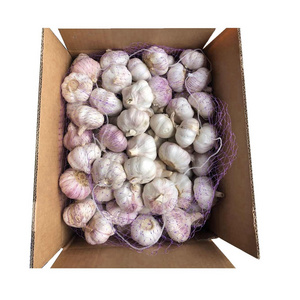 2022 New Crop Ajo Alho China Fresh Garlic Price For 1 Ton To Brazil Market