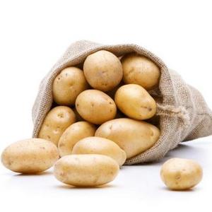 High Quality Fresh Potatoes Fresh Potato Importers In China