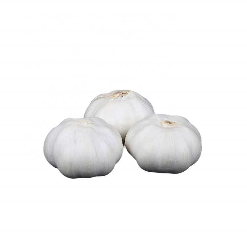 AJO/ALHO fresh garlic 2022 for good quality  lower cheap price  fresh and dry garlic onion ginger  for  catalan food