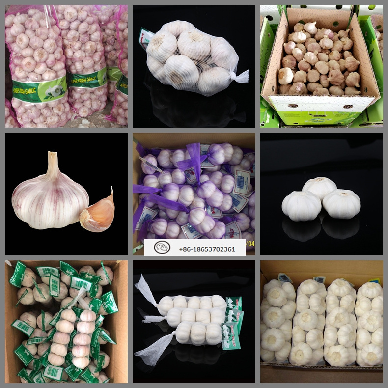 ALHO AJO AIL Garlic Fresh New Crop Jin Xiang China Garlic Price for Wholesale