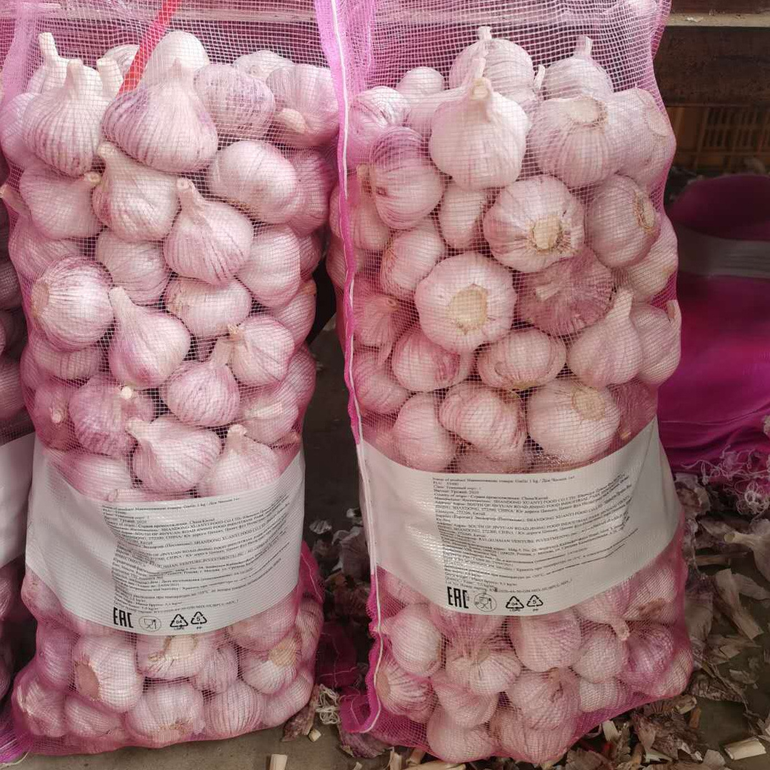 2022 New Crop Ajo Alho China Fresh Garlic Price For 1 Ton To Brazil Market