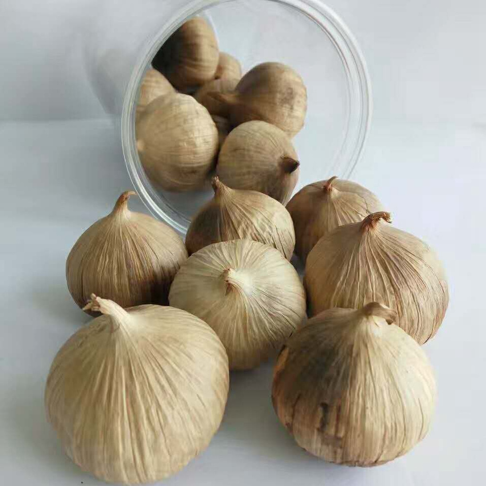 New Solo Black Garlic Factory with Best Price