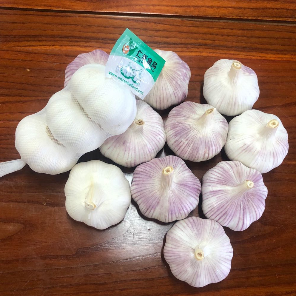 2022 New Crop Ajo Alho China Fresh Garlic Price For 1 Ton To Brazil Market