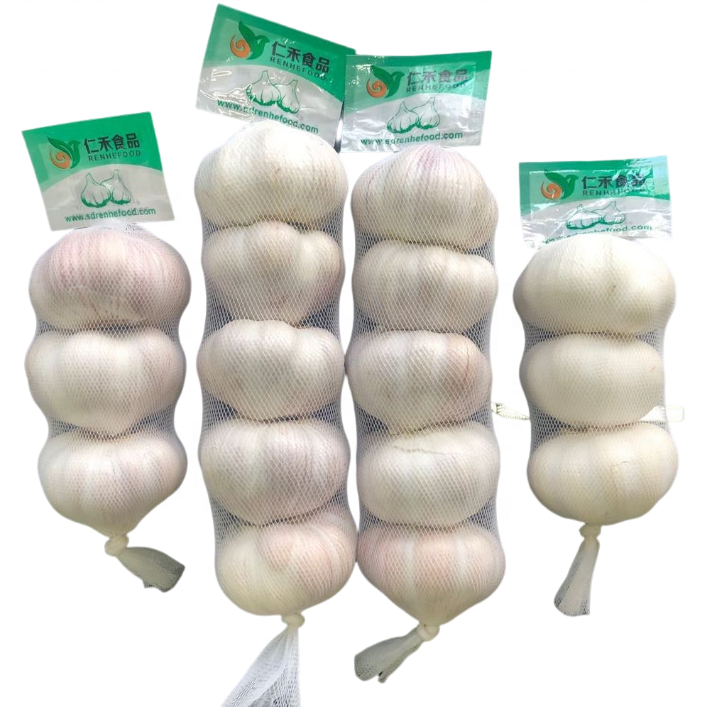 AJO/ALHO fresh garlic 2022 for good quality  lower cheap price  fresh and dry garlic onion ginger  for  catalan food