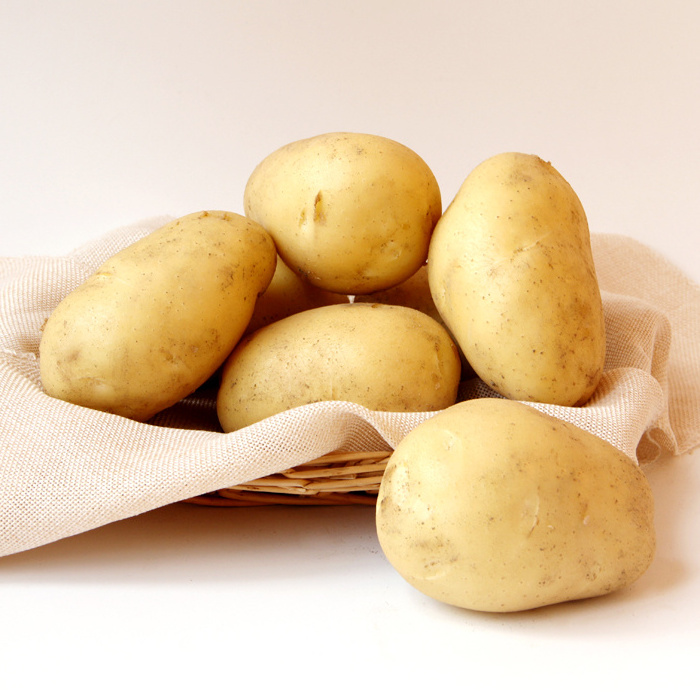 High Quality Fresh Potatoes Fresh Potato Importers In China