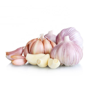 ALHO AJO AIL Garlic Fresh New Crop Jin Xiang China Garlic Price for Wholesale