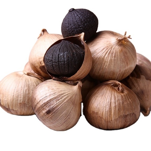 cheap price  fresh Black garlic wholesale price solo black garlic