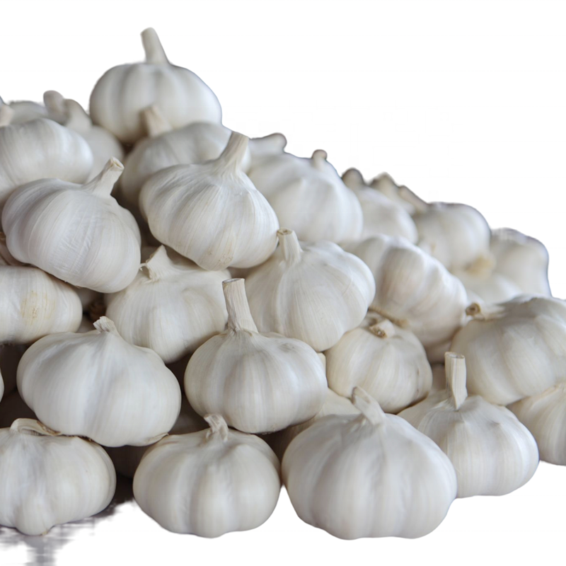 AJO/ALHO fresh garlic 2022 for good quality  lower cheap price  fresh and dry garlic onion ginger  for  catalan food