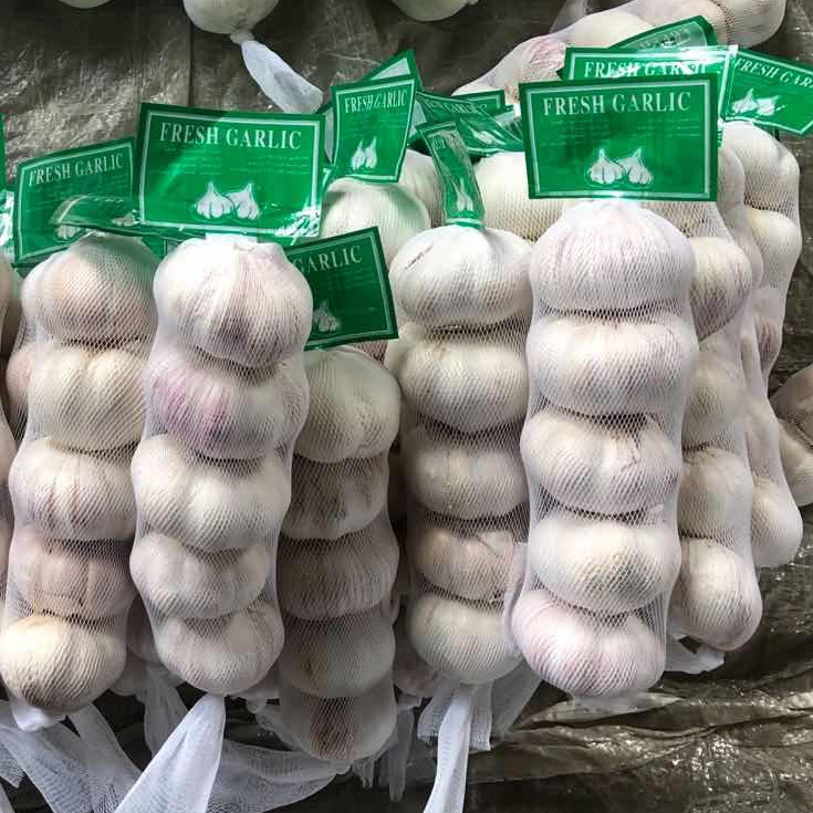 China Garlic Factory Supply Super White Garlic 50mm 55mm Ajo Ail