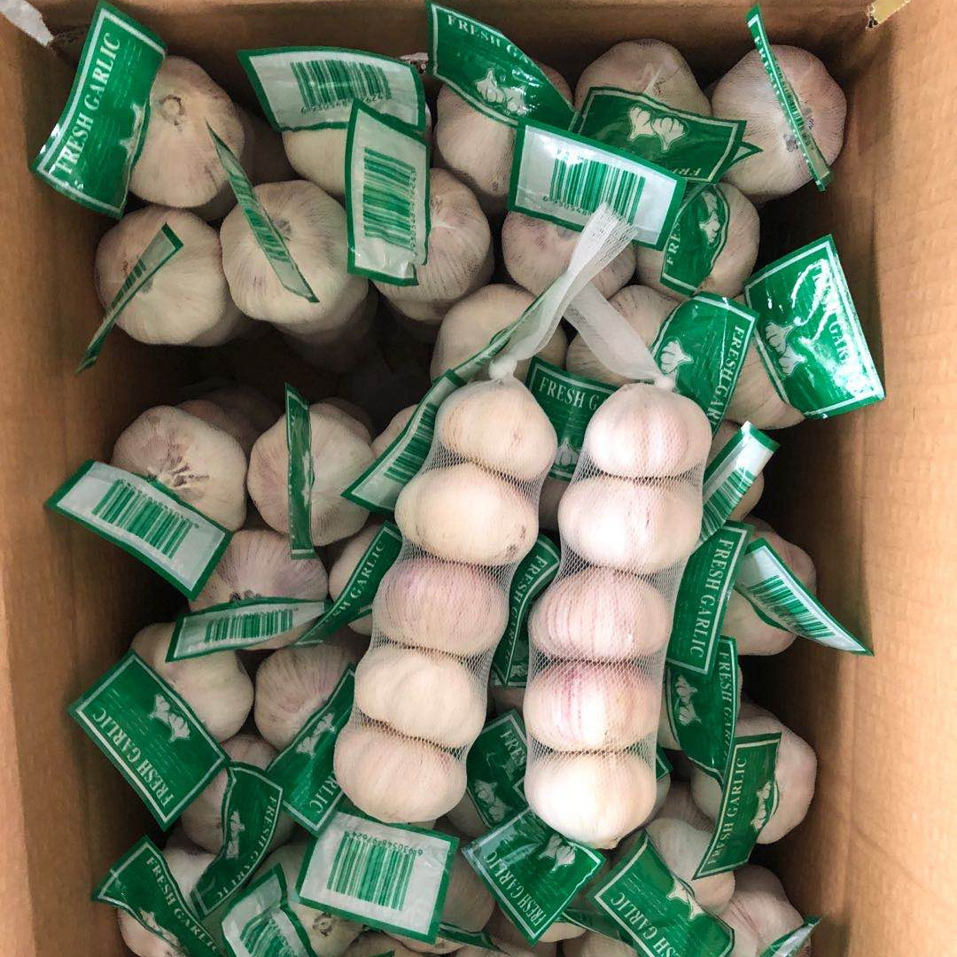 ALHO AJO AIL Garlic Fresh New Crop Jin Xiang China Garlic Price for Wholesale