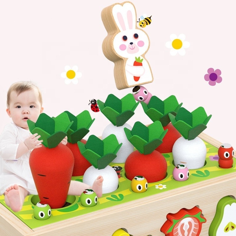 Carrot Harvest Game Wooden Shape Sorting Toy Car Kids Montessori Toys Preschool Early Learning Educational Toys for Baby Toddler