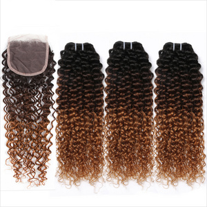 Wholesale Hair Weave Ombre Kinky Curly,Mink Raw Cuticle Aligned Virgin Hair,Virgin Remy Hair Extension Free Sample Free Shipping