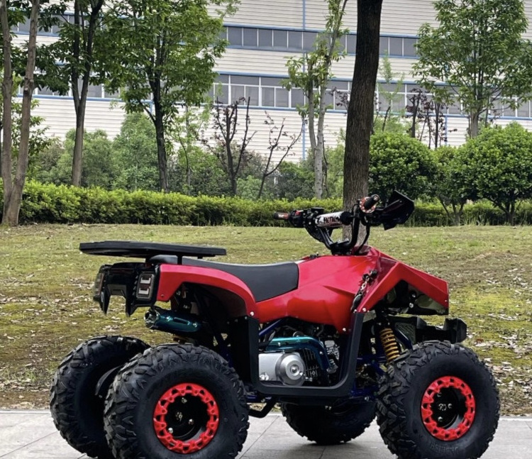 1000W Electric Quad Bike 48V Brush Motor 4-Stroke Engine 110cc Displacement Automatic Transmission Gas/Diesel Fuel 4-Cylinder