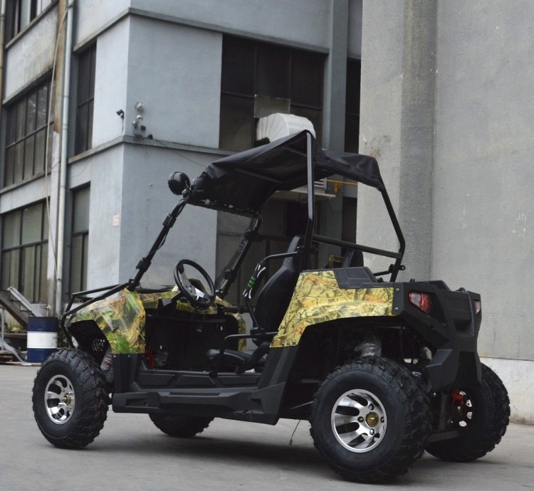 Newest 300CC UTV and Dune Buggy 2-Seat Farm UTV and 4-Seat Dune Buggy Best Price ATVs Genre