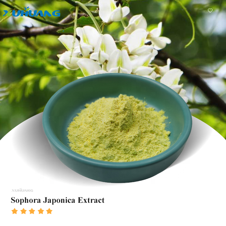 Pure Natural Sophora Japonica Extract 95% Quercetin