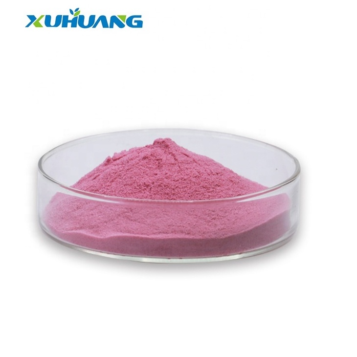 Top Quality Black Currant Fruit Powder