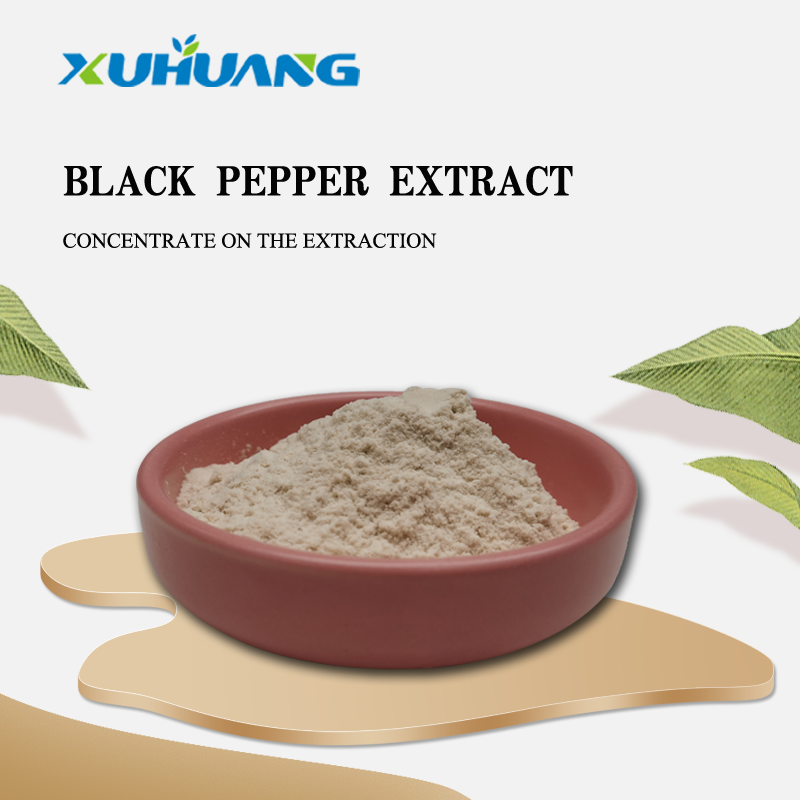 Best Price Natural Black Pepper Extract