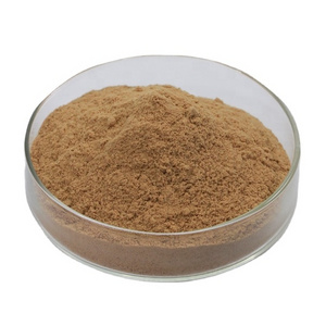 100% Natural Best Price Hypericin Forsythia Extract