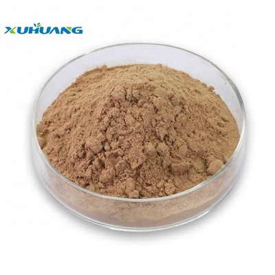 Hot Sale Pure Green Coffee Bean Extract Powder