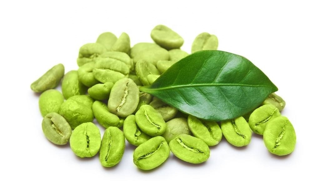 Weight loss green coffee bean extract  Chlorogenic Acid