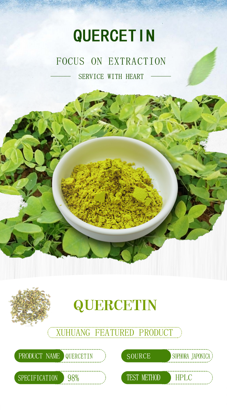 Pure Natural Sophora Japonica Extract 95% Quercetin