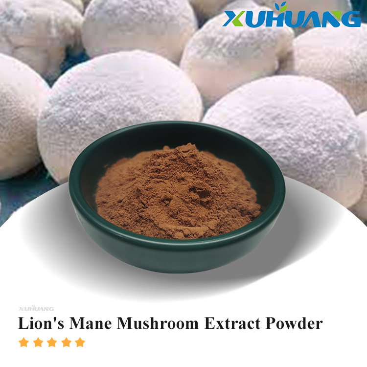 Best Pure Lion's Mane Mushroom Extract