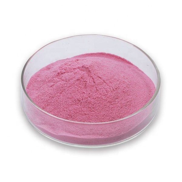 Top Quality Black Currant Fruit Powder