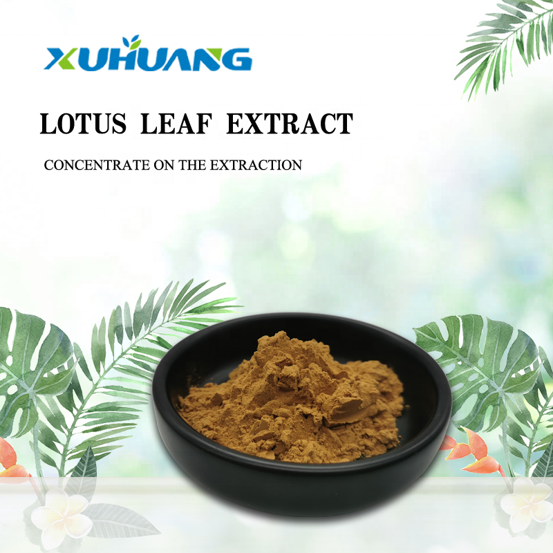 Pure Organic Nuciferine 2% Lotus Leaf Extract Powder