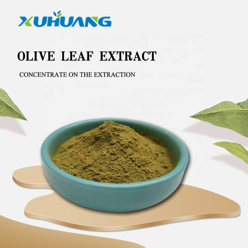 Natural supply pure olive fruit plant botanical extract powder Oleuropein