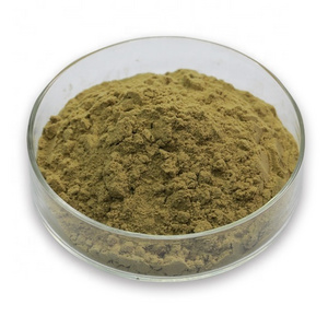 Pure natural high quality raw material loquat leaf extract powder