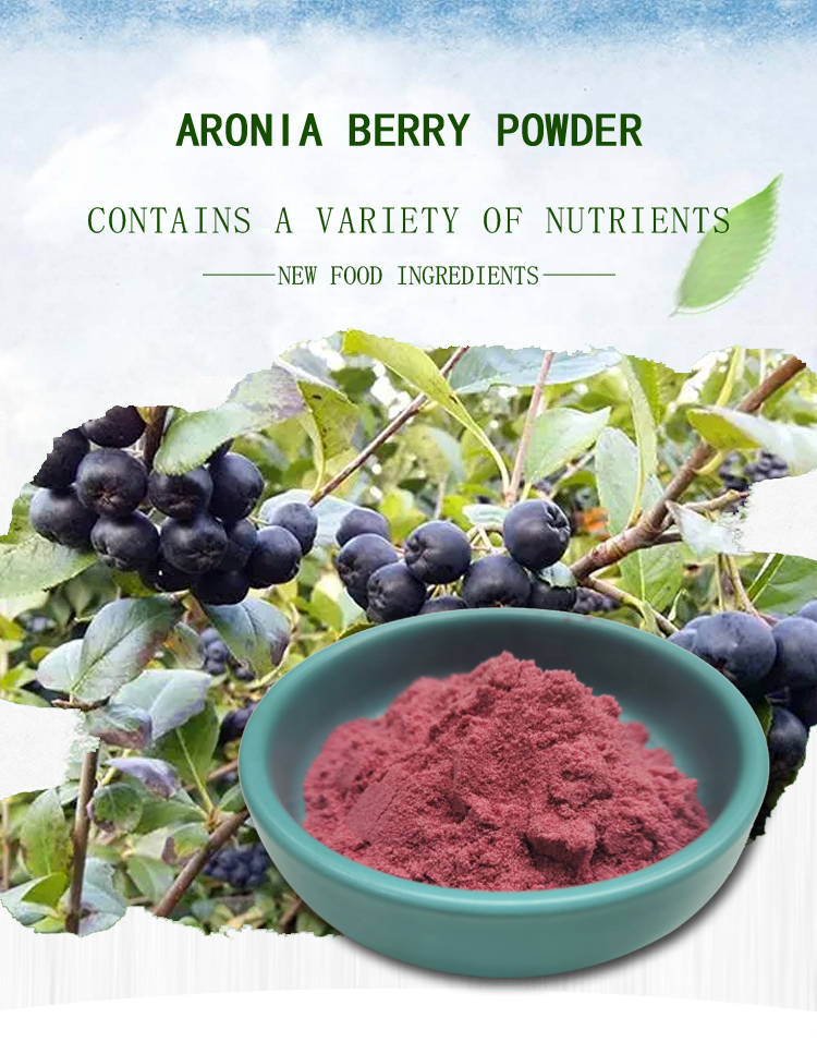 Free Shipping Best Selling Aronia Berry PowderBlack Chokeberry Powder