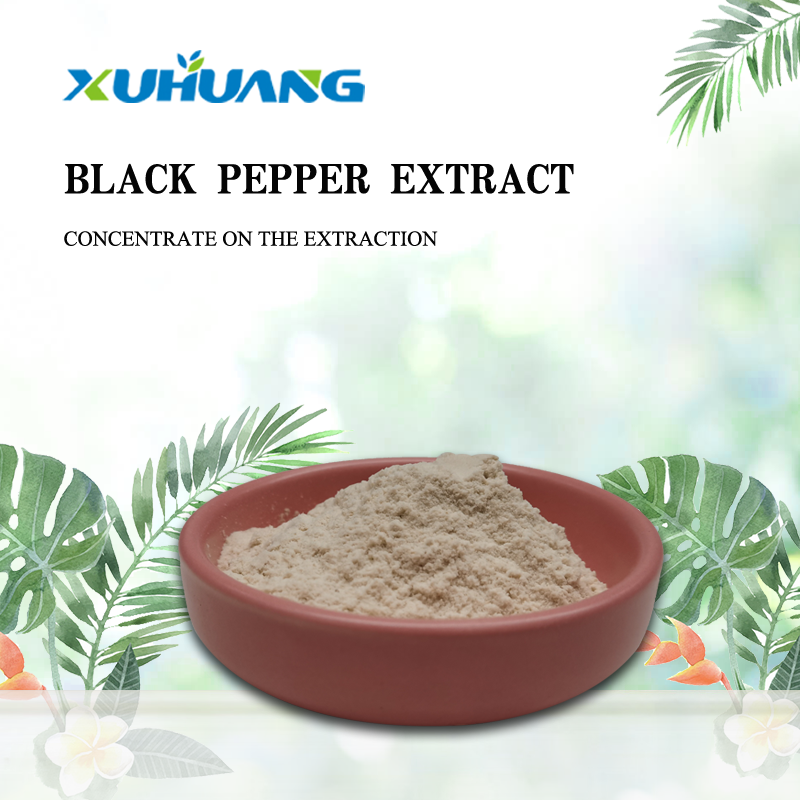 Best Price Natural Black Pepper Extract