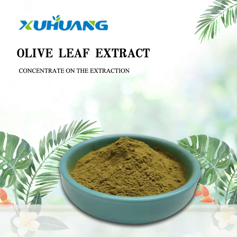 Natural supply pure olive fruit plant botanical extract powder Oleuropein