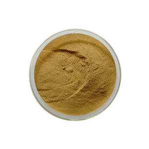 Phyllanthus emblica Extract/Emblic leafflower fruit extract powder/ Natural Amla Fruit Extract