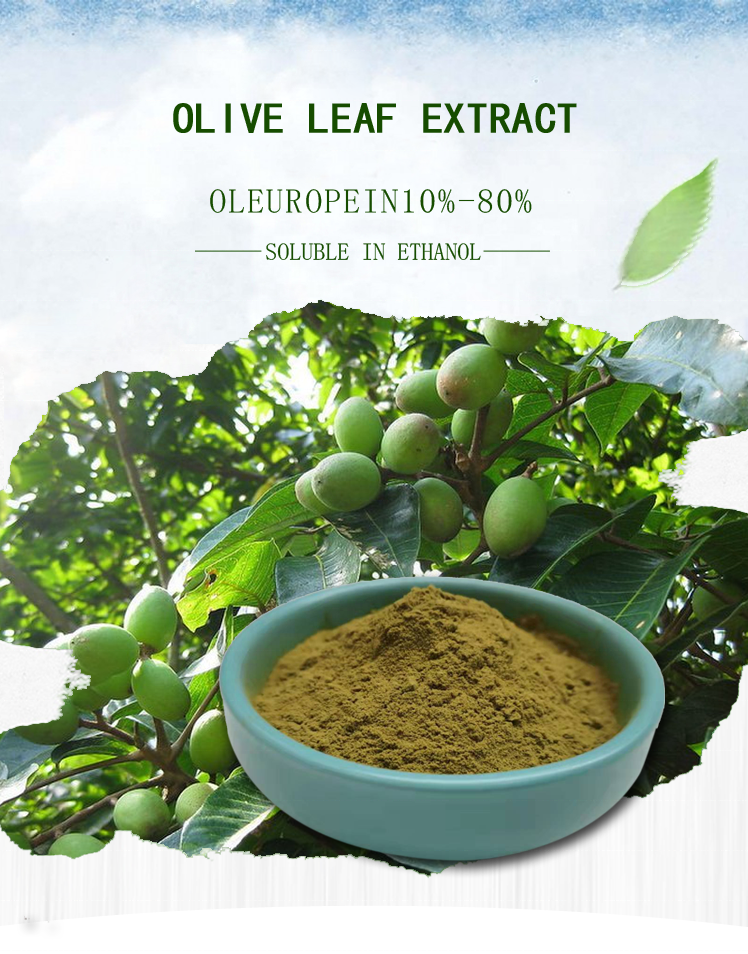 Natural supply pure olive fruit plant botanical extract powder Oleuropein