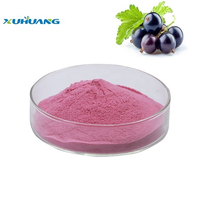 Top Quality Black Currant Fruit Powder