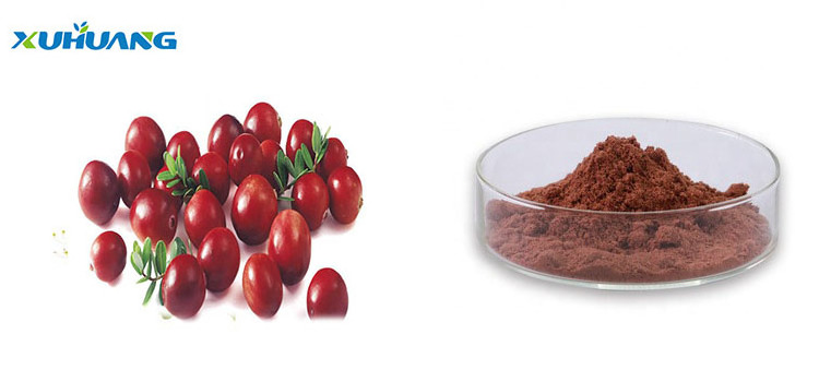 100% natural and water soluble lingonberry proanthocyanidins 25% extract powder