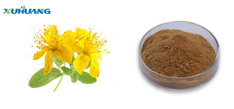 100% Natural Best Price Hypericin Forsythia Extract