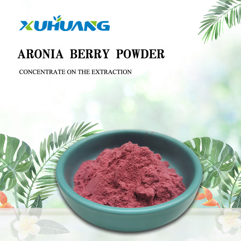 Free Shipping Best Selling Aronia Berry PowderBlack Chokeberry Powder