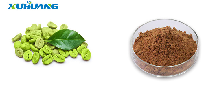 Weight loss green coffee bean extract  Chlorogenic Acid