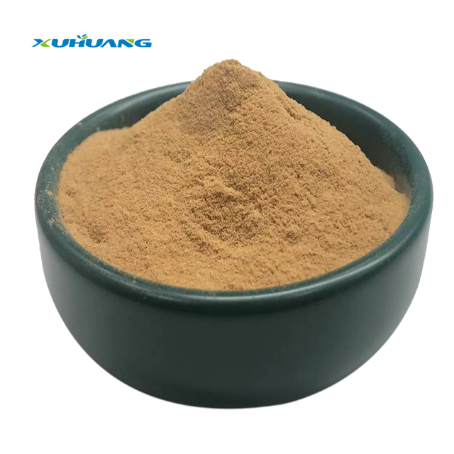 Xuhuang Free Sample Natural Shitake Mushroom Extract Shitake Mushroom Powder