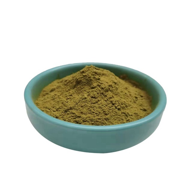 Natural supply pure olive fruit plant botanical extract powder Oleuropein