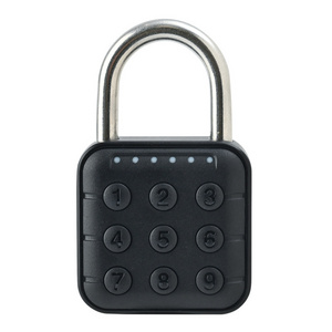 Smart Stainless Steel Padlock with Number Disc Password Waterproof outside Door Heart Lock Cylinders