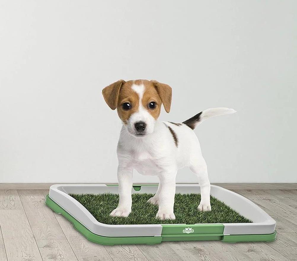 Indoor Potty Training Pet Supply 3 Layers Large Simulation Grass Lawn Pet Toilet Pad Mat Dog Toilet Tray