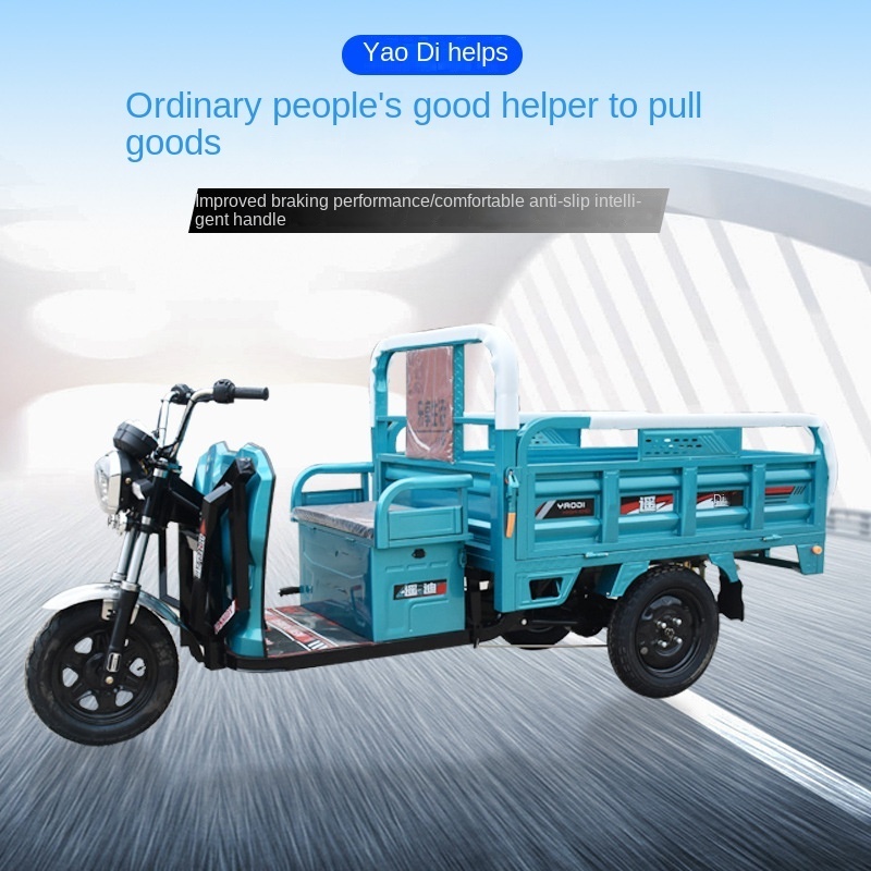 USA Canada Hot Sale 3 Wheels Electric Tricycle For both guest and cargo loading Antiskid Wheel Long Endurance Truck Vehicle