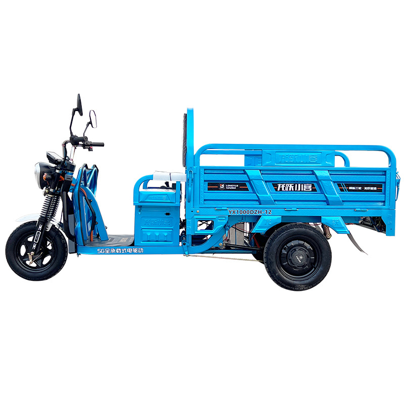 Two Chinese three wheeled electric freight vehicles electric tricycles tuk tuk tricycles delivery tricycles motorcycles