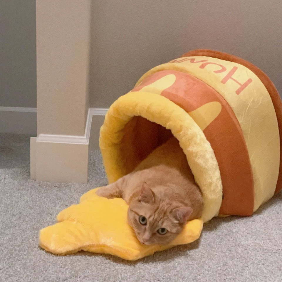 Honey Pot Cat Bed Cute Plush Pet Puppy Nest House Cartoon Warm Mat Kennel Sleeping Bag