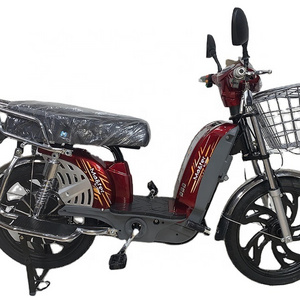 High quality 48V 60V 800W 1000W fashion electric family cargo e bikes