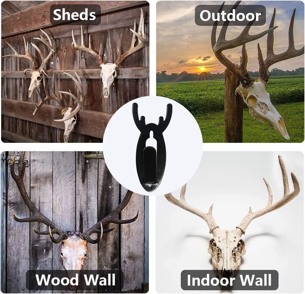 European Mount Skull Hanger Deer Skull Large Hooks Wall Mounting Bracket kit